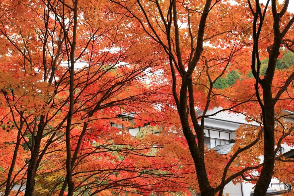 Nukumorino-Yado Komanoyu Kiso Exterior foto