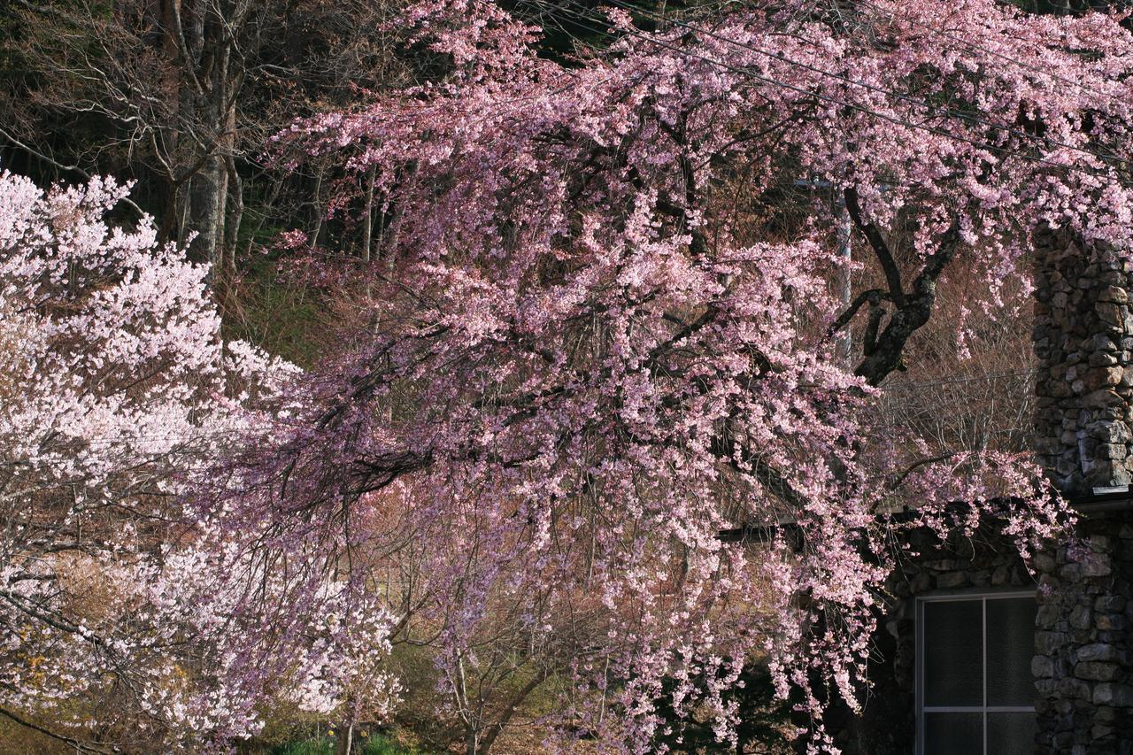 Nukumorino-Yado Komanoyu Kiso Exterior foto
